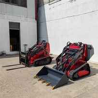 Skid Loader multifonctionnel