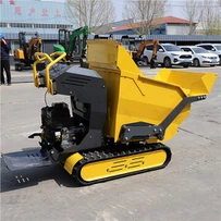 Petit camion à benne basculante de chantier