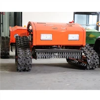 Petite tondeuse à gazon sur chenilles