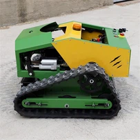 Petite tondeuse à gazon télécommandée